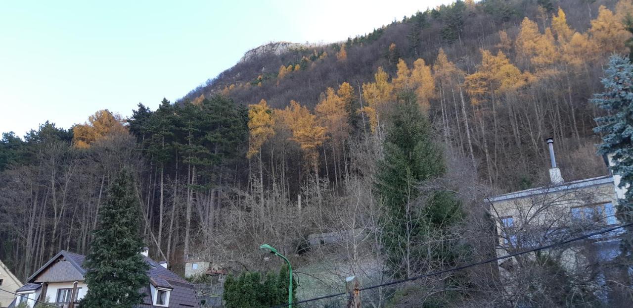 Brasov Valley Apartamento Exterior foto